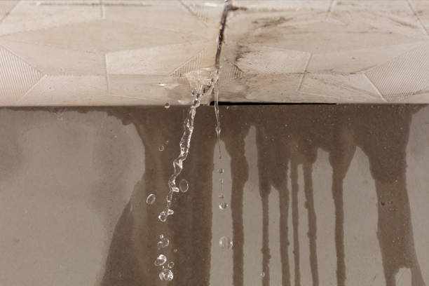 Professional Water Damage Repair technician working in Lone Oak, TX